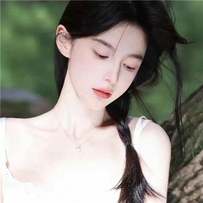 北境密林谜踪
